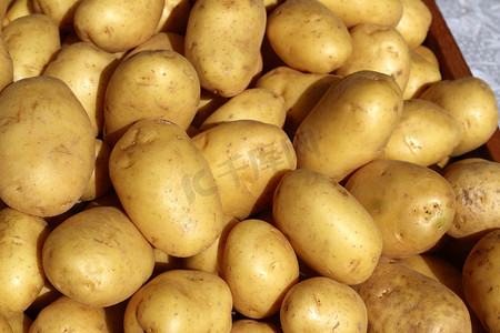 市场上很多土豆都是黄棕色的