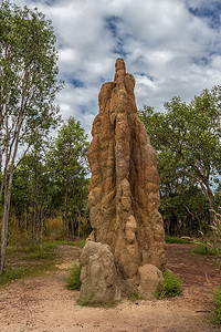 菲尔摄影照片_澳大利亚北领地利奇菲尔德国家公园的白蚁丘