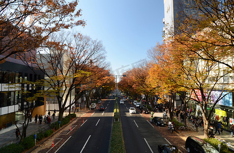 表参道摄影照片_东京-11 月 24 日： 表参道街上的人们在 11 月 24 日。2013 年