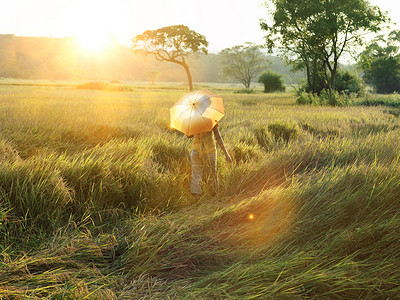 遮阳伞女孩摄影照片_带着遮阳伞在田野里行走的女人保护她免受阳光照射