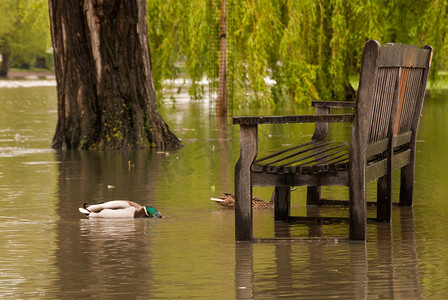 洪水泛滥的河滨长椅