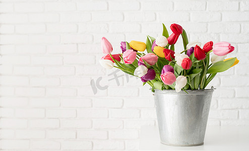 白背景图片摄影照片_白砖墙背景上的一桶郁金香花