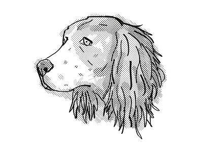 英国史宾格犬品种卡通复古绘图
