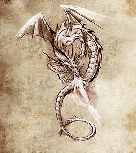 卷曲的龙摄影照片_“幻想龙。纹身艺术素描，中世纪怪物”