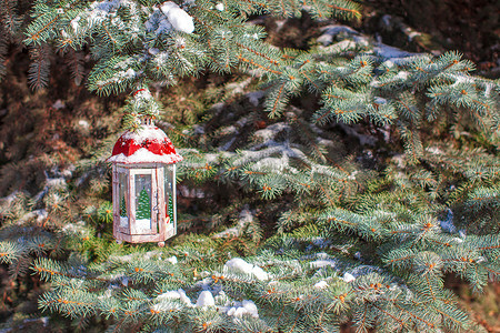 冷杉树枝上挂着降雪的圣诞灯笼