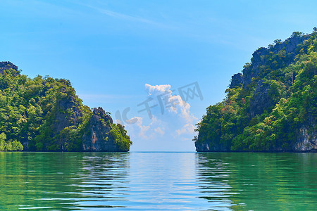 红树林中的纯自然景观河流