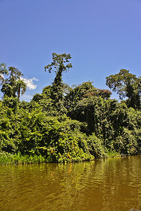 亚马逊盆地、桑多瓦尔湖、坦波帕塔国家保护区、秘鲁、南美洲