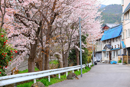 京都市