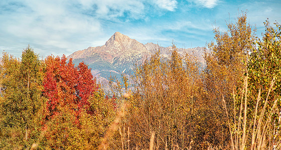 绿色山峰背景摄影照片_克里万山峰斯洛伐克标志，前景是秋色树木，斯洛伐克利普托夫地区典型的秋季风景
