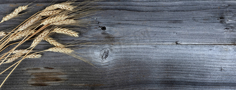 麦穗装饰摄影照片_在风化木板上的干麦秆或麦穗的俯视图