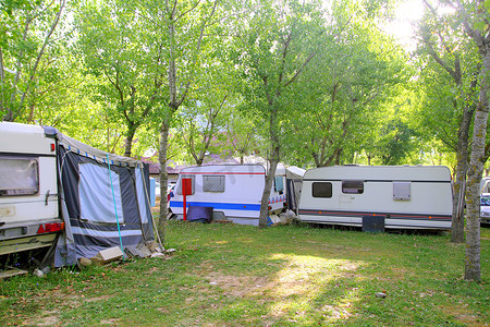 露营露营者营地绿色户外树木