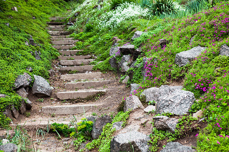 绿色花园中的石阶