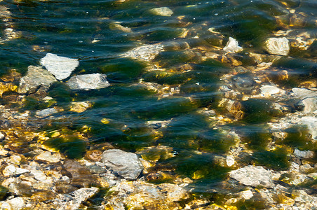 青苔和海草盖的岩石