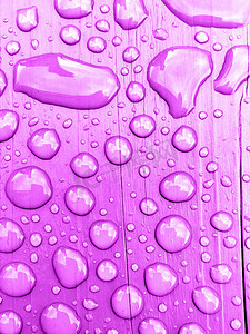 紫色背景下的雨水