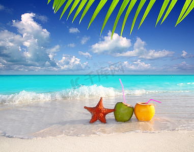 热带海滩的椰子鸡尾酒汁和海星