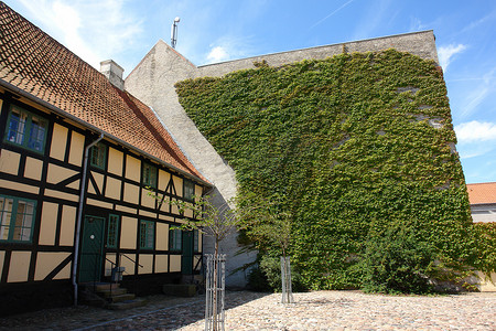 常春藤覆盖的房子的墙壁