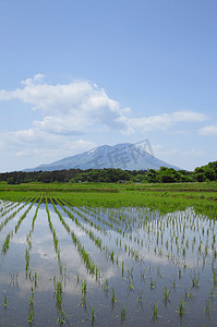 日本风情摄影照片_岩手山和田园风光
