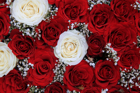 情人节花束中的红玫瑰和白玫瑰