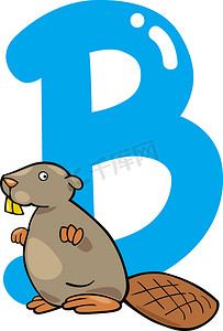 字母b的设计摄影照片_B代表海狸