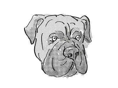 Bullmastiff 狗品种卡通复古绘图