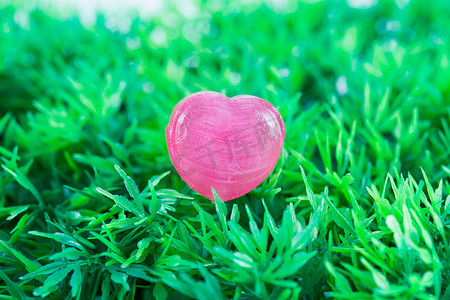 爱在绿草上的红心