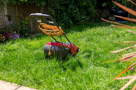 割草机背景摄影照片_长草草坪上的割草机