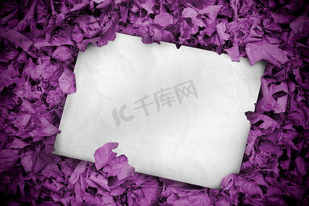 埋入紫色叶子的白色海报