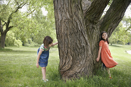 两个女孩在树下玩捉迷藏的全长