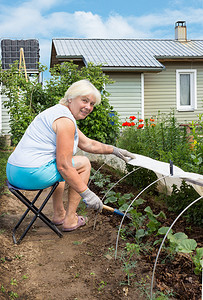 中老年声乐摄影照片_一位老妇人正在花园里除草
