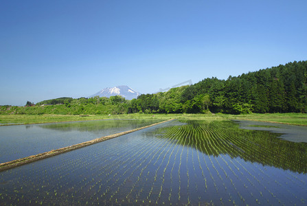 岩手山和田园风光