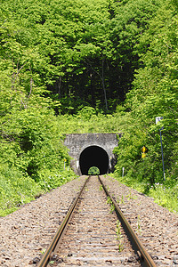 隧道与新绿