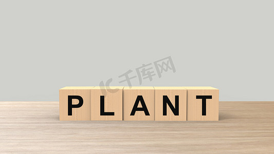 植物-文字木制立方体在桌子上水平在灰色背景高清