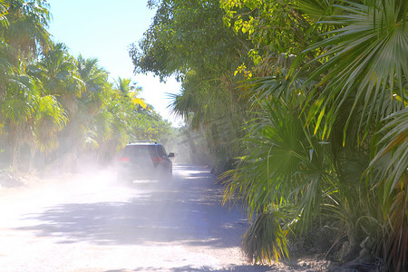 棕榈树轨道道路汽车沙灰尘有雾