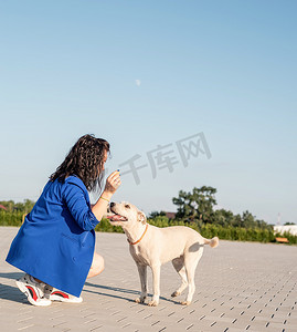 宠物狗玩耍摄影照片_年轻漂亮的女人在公园里和她的狗玩耍