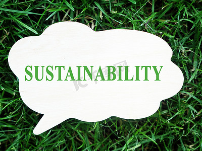 绿色草地上的一块小木板上写着可持续发展这个词。