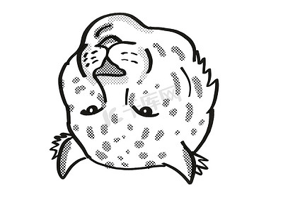 阿穆尔豹濒危野生动物卡通单线画
