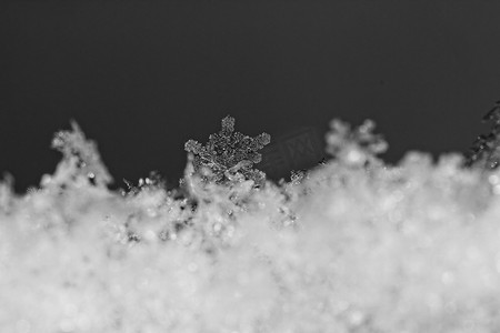 雪花冰摄影照片_美丽的白色雪花晶体