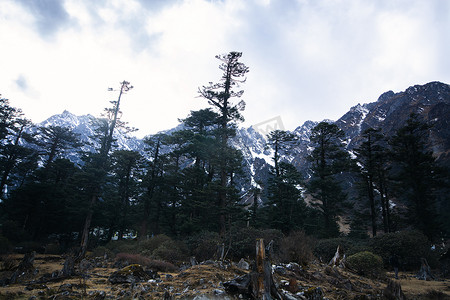 绿色山峰背景摄影照片_印度锡金北部的山峰