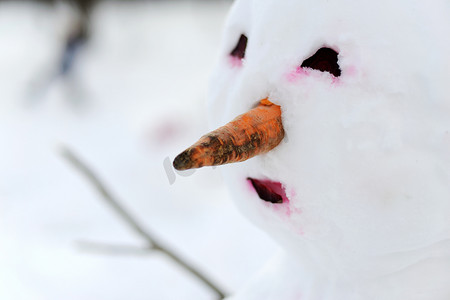 雪人特写