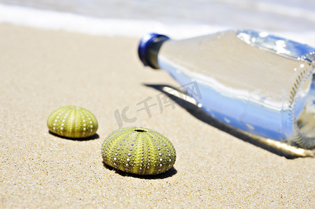 目装饰摄影照片_有两个死海胆壳和一瓶水的海滩场景
