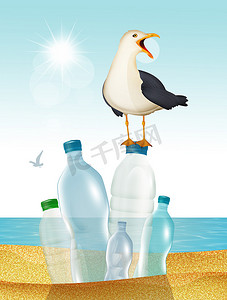 沙滩上的海鸥与塑料垃圾