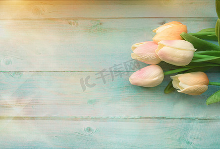 春天的粉红色郁金香花在彩色木制背景上。