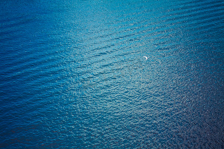 白色的海鸥飞过深蓝色的波浪