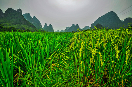 广西绣球摄影照片_Guilin Li river Karst mountain landscape in Yangshuo