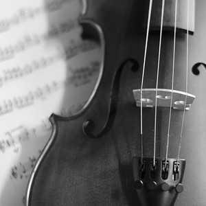 小提琴背景摄影照片_黑白小提琴