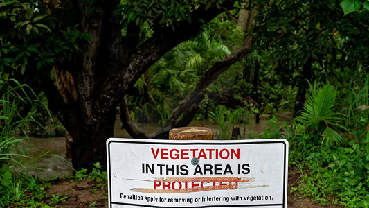 溪岸树木植被保护警示