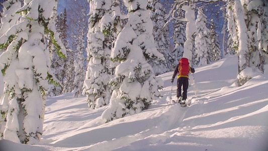 一个人在白雪皑皑的森林里滑雪。