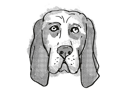 卡通狗摄影照片_巴吉度猎犬品种卡通复古绘图