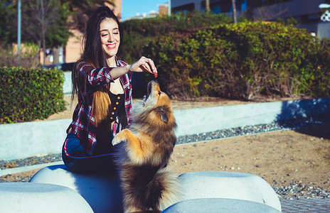 公园里的女训练犬，带有文本复制空间