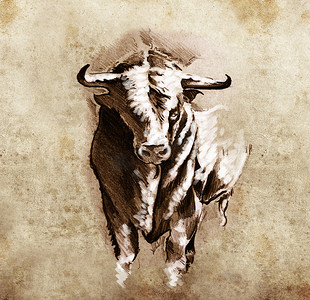 “纹身艺术素描，西​​班牙公牛，带喙 h 的危险公牛”